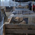 5c8abaab240000f404a3937d