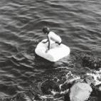 5c8aba67240000f7054c572a