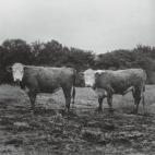 5c8aba6a3b000072066c75fa