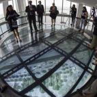 El One World Observatory se encuentra en los pisos 100, 101 y 102 del rascacielos, también conocido como la Torre de la Libertad (Freedom Tower).