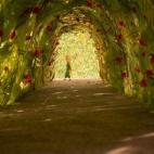 5c8aa0913b000070066c3d38