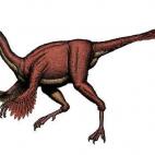 El equipo que lo bautizó quería llamarlo Gallina del infierno en latín o en griego, pero se decantaron por Anzu, nombre de un monstruo mitológico. El Wyley procede del nombre del nieto de un mecenas del museo Carnegie de Historia Natural de ...