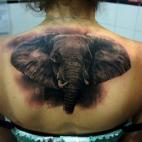 Artista: Fredy Tomas Vía inkonsky.es