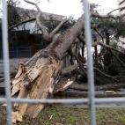 5c8abcbc2400000a05a39815