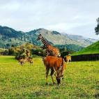 Parque de la Naturaleza de Cabárceno (Cantabria)
