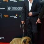 5c8b304223000004012453ff