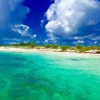 5c8a67563b000070066bf004