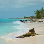 5c8a67562300000401230fa6