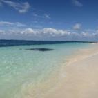 5c8a67572400005405a309ce