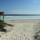 5c8a6758360000ba1a6b6f83