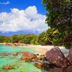 5c8a6758230000d504230faa