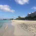 5c8a6759230000d504230fac