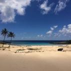 5c8a675a2500000a06811ac5