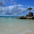 5c8a675d3b000072066bf01a