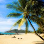 5c8a675d20000045046f1d1a