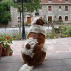 MÁS INFORMACIÓN: - Página web del hotel - Opiniones y precios comparados en Tripadvisor Dirección: Cosgaya, 39582 Camaleño, Cantabria