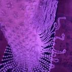 Hace cuatro años Michelle Brand realizó este vestido hecho solo con botellas de plástico y tapones. Bautizado como Green with Envy, el vestido se exhibió en el centro comercial Manchester Arndale (Manchester, Reino Unido) como parte de una ...