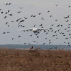As&iacute; era el AN-225, el avi&oacute;n m&aacute;s grande del mundo