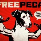 5c8ab2b12400006b054c483b