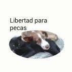 5c8ab2b2360000a61b6be650