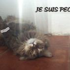 5c8ab2b22300002f00e7004b