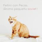 5c8ab2b220000045046f9359