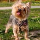 5c8ab2b32400006d054c4841