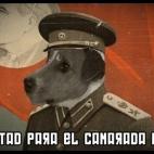 5c8ab2b3360000ba1a6be652