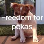 5c8ab2b3360000ba1a6be654