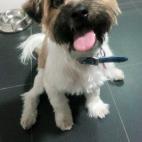 5c8ab2b3250000e203c979f2