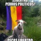 5c8ab2b9240000f404a38397