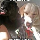 5c8ab2b920000045046f935f