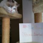 5c8ab2ba2400006c05a3839b