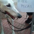 5c8ab2ba2000009e046f9361