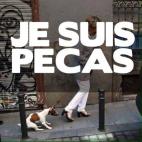 5c8ab2ba3b000054066c6704