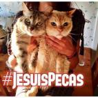 5c8ab2ba2300005400e70055