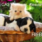 5c8ab2ba3b000054066c6706