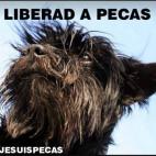 5c8ab2bb2400004205a3839f