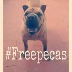 5c8ab2bb2500000d04c97a00