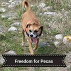 5c8ab2bc2400000a05a383a2