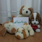 5c8ab2bc3b000072066c670a