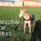 5c8ab2bd360000a61b6be65c