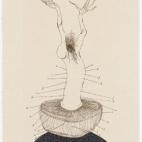 The Original Nine Daughters (detalle), Wangechi Mutu, 2012. Series of 9 etchings, Paper size 19 x10 inches each, image size 15 x 7 inches. Edition of 30 + 11 APs. Couortesy of the Artist and Pace Editions, Inc.