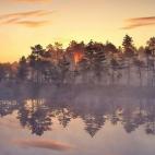 Viru bog, Estonia. Foto de Marek Metslaid/Snapwire.