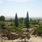 Otro monumento que merece la pena son las ruinas de la ciudad Medina Azahara, que es gratuita, aunque para llegar hasta allí haya que ir en autobús o coche. La sinagoga queda muy cerca de la Mezquita y, también es gratuita, sin restricción d...
