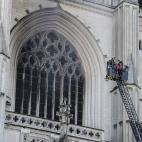 5f12d426250000ea0cc29f95