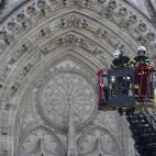 5f12d41f1f0000ab0d338449