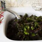 "Nos lavamos las manos en el fregadero cuando estamos cocinando y tenemos las manos con restos de alimentos y suciedad", advierte Johnson. Según el estudio de NSF, las llaves del grifo, tanto de la cocina como del baño, contenían bacterias co...