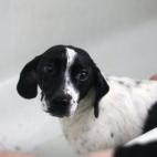 ¡Estas manchas son de nacimiento! Por más que sigas intentándolo no se van a ir.