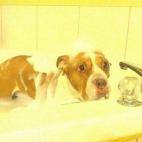 ¿Qué está pasando?